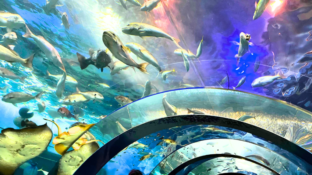 モデルコースの紹介